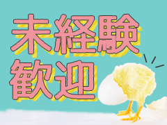 藤沢市遠藤/春巻きの包装・梱包/週3~OK