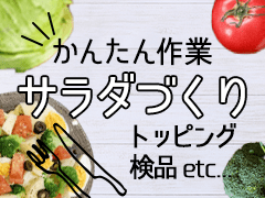 周智郡森町向天方/パックサラダの盛付・箱詰め/週払いOK