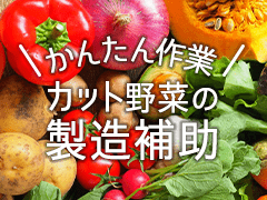 熊本市南区川尻/野菜の洗浄・カットなど/週3~